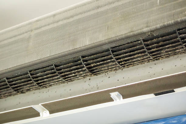 Best Affordable Air Duct Cleaning  in Adamsville, TN